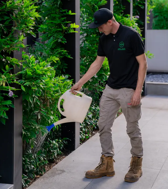 Careful hand watering in a garden
